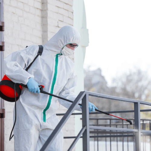 Pest Control Service