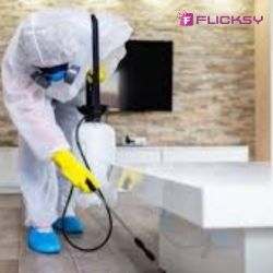 Home disinfection