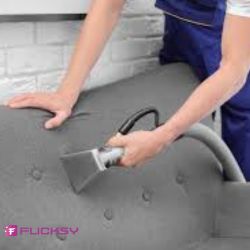 Sofa cleaning