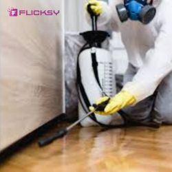 Bathroom & Kitchen with Utensil Removal