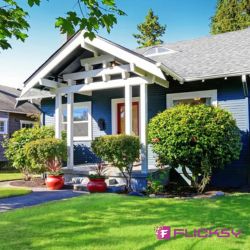 Bungalow Pest Control