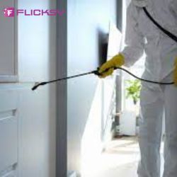 Apartment Termite Control