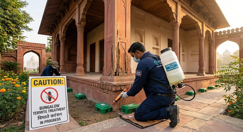 Bungalow Termite control