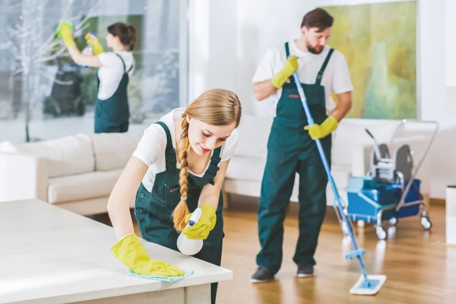 Platinum full home cleaning
